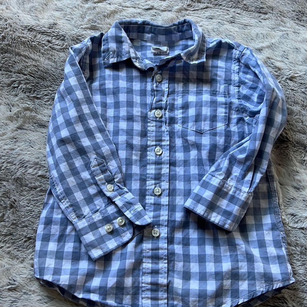 Crewcuts button down